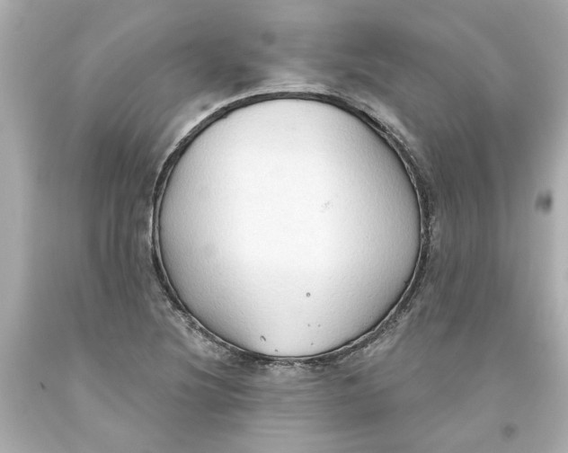 X0000093561220200711051031