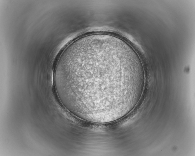 X0000093561221200711051031