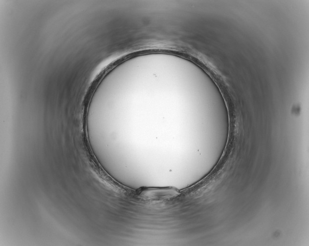 X0000093561222200711051031