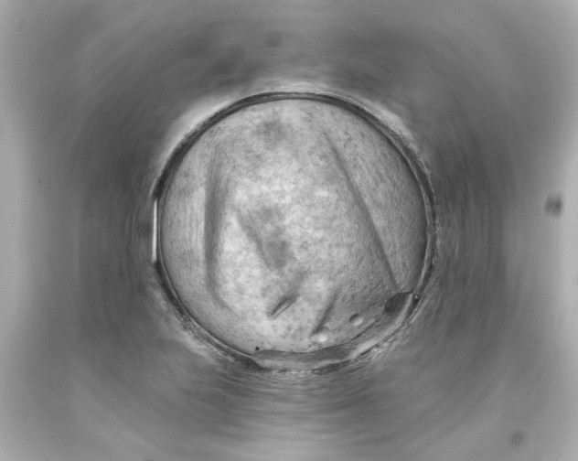 X0000093561223200711051031