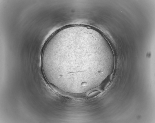 X0000093561224200711051031