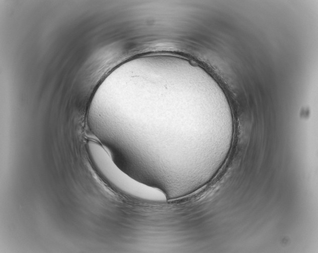 X0000093561225200711051031