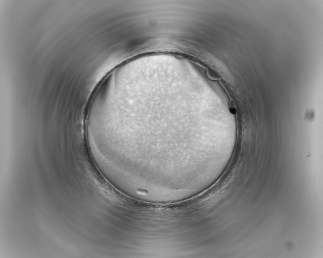 X0000093561226200711051031