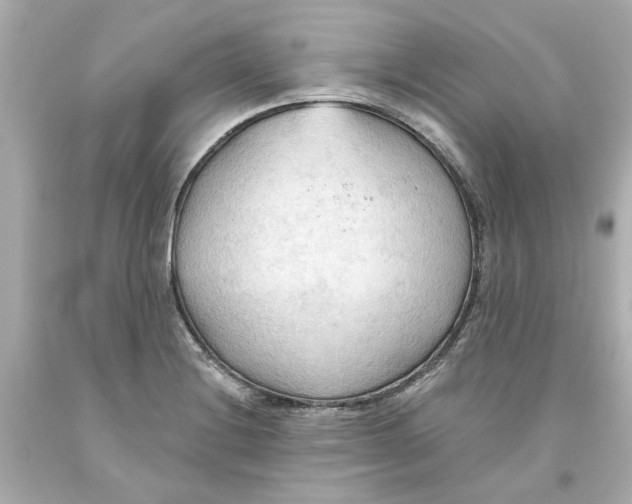 X0000093561228200711051031