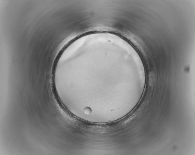 X0000093561229200711051031