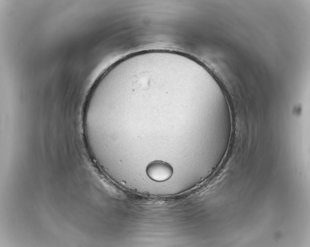 X0000093561230200711051031