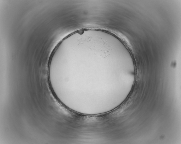 X0000093561231200711051031