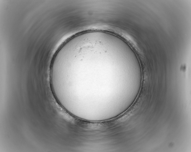 X0000093561232200711051031