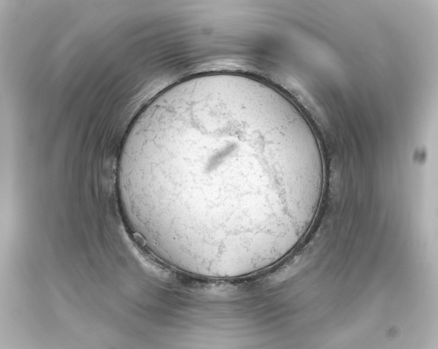 X0000093561233200711051031