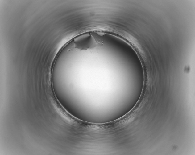 X0000093561234200711051031