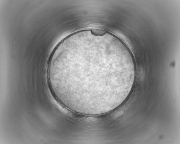 X0000093561235200711051031