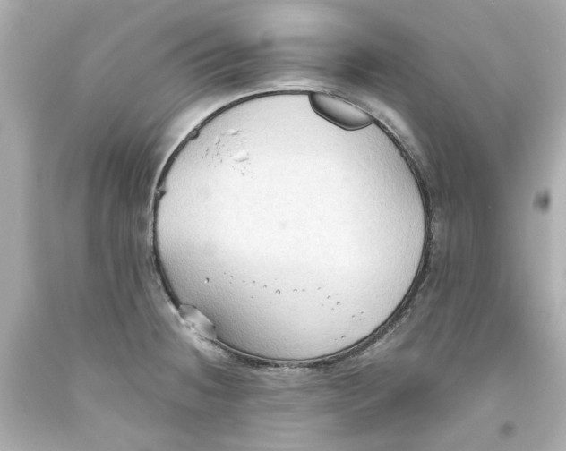 X0000093561236200711051031