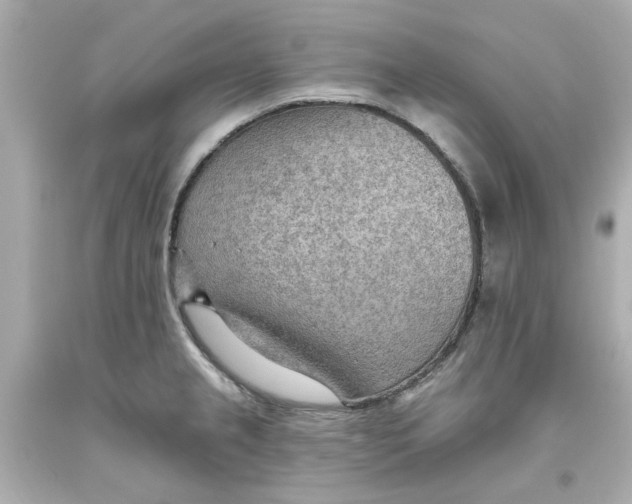 X0000093561237200711051031