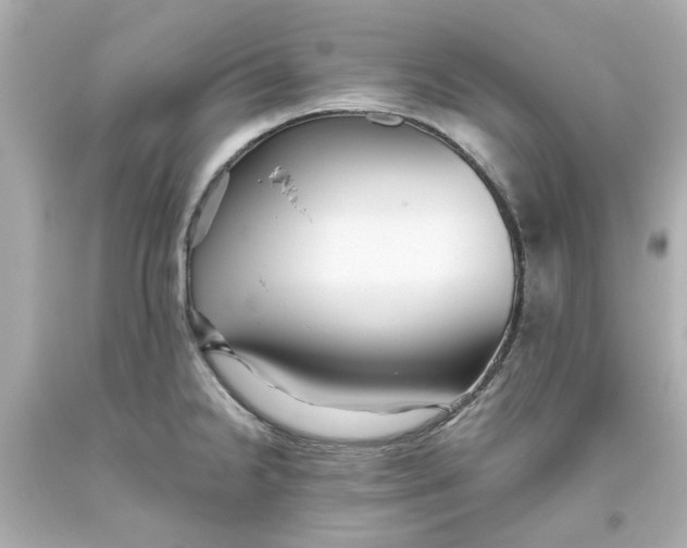 X0000093561238200711051031