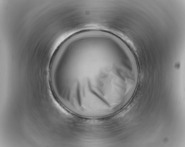 X0000093561239200711051031