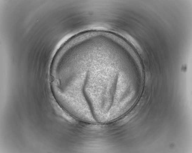 X0000093561240200711051031