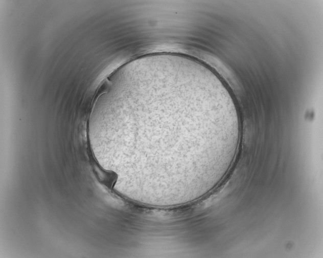 X0000093561241200711051031