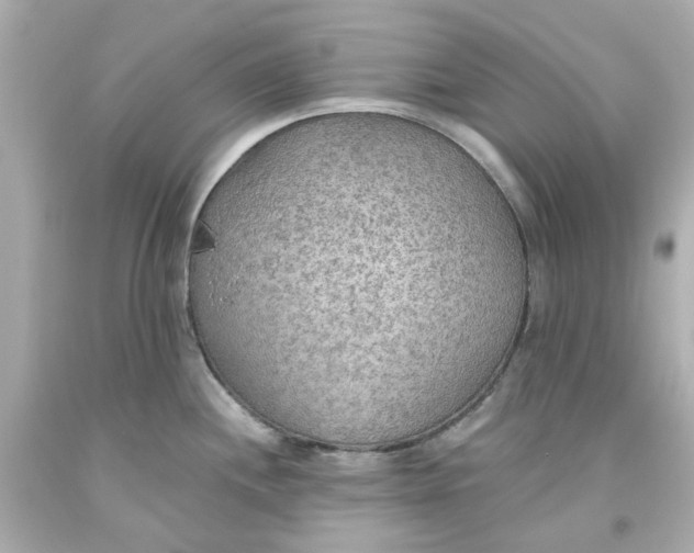 X0000093561244200711051031