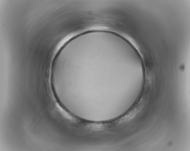 X0000093561245200711051031