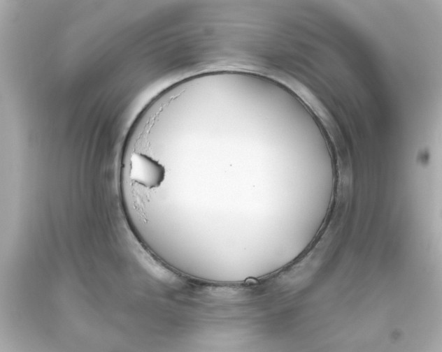 X0000093561246200711051031