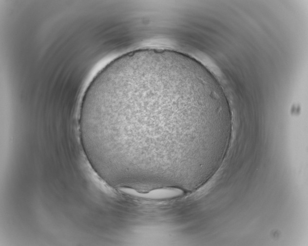 X0000093561248200711051031