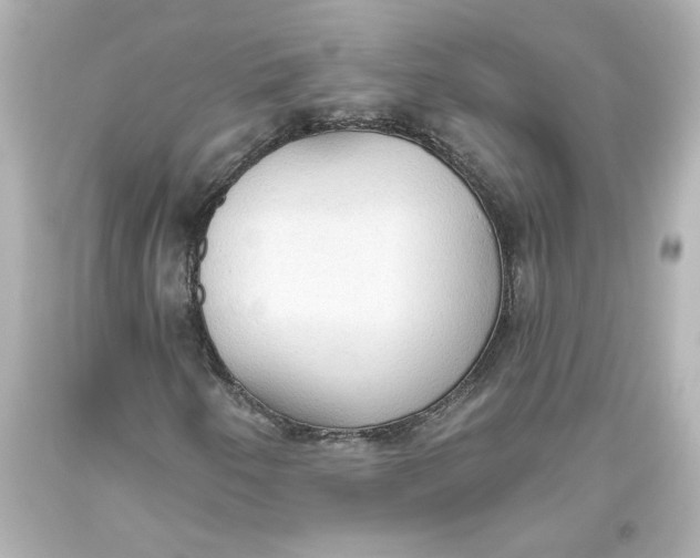 X0000093561250200711051031