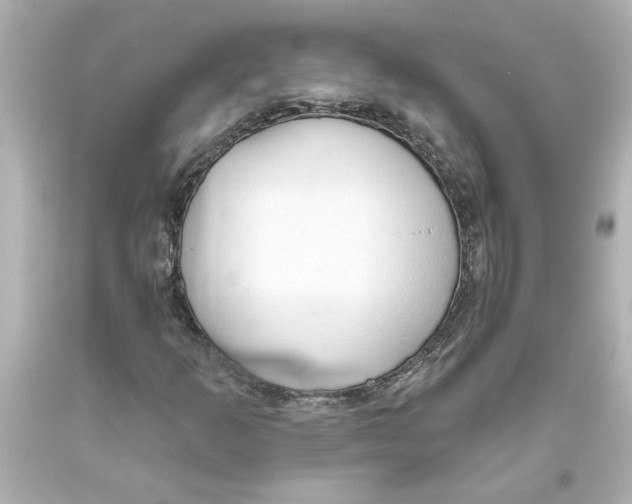 X0000093561253200711051030