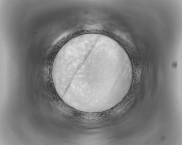 X0000093561254200711051030