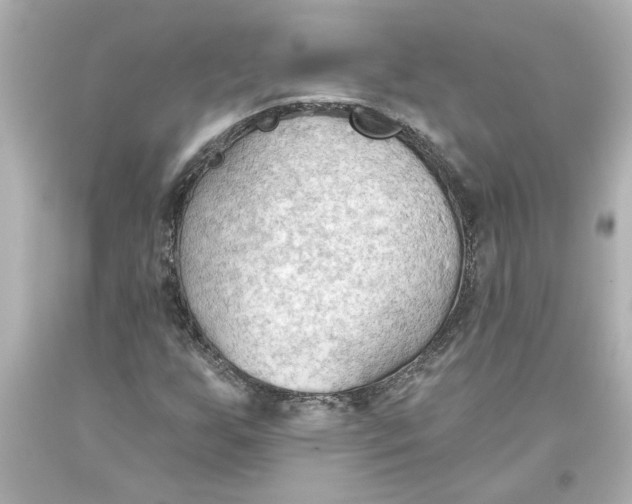 X0000093561255200711051030