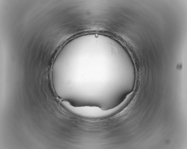 X0000093561257200711051030