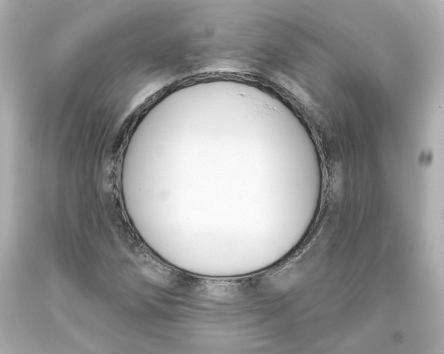 X0000093561258200711051030