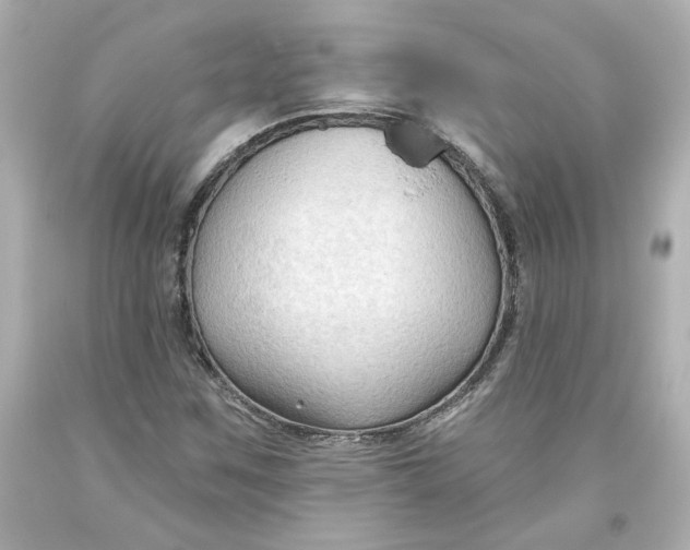 X0000093561259200711051030