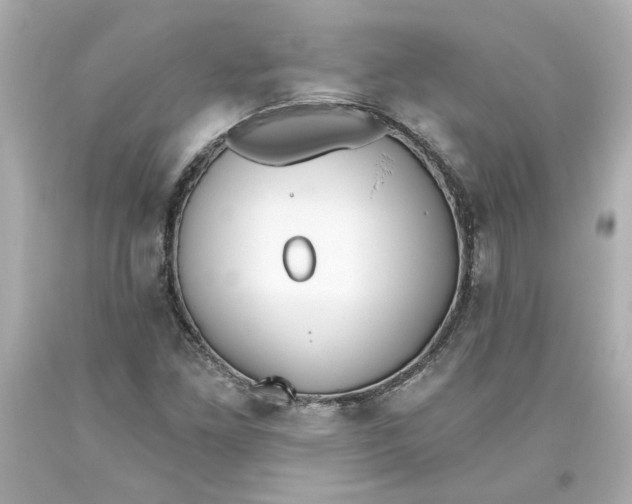 X0000093561261200711051030