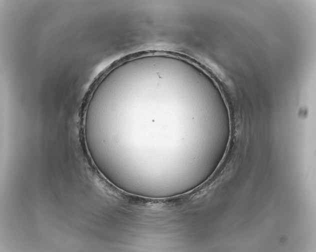 X0000093561264200711051030