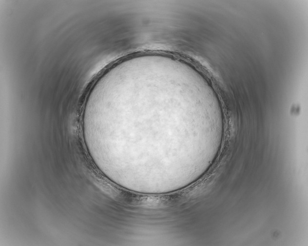 X0000093561266200711051030