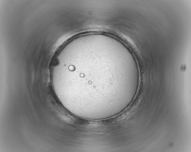 X0000093561267200711051030