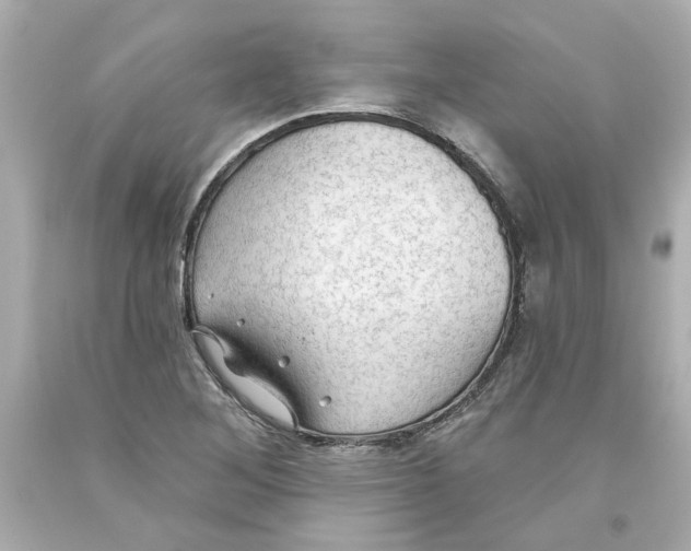 X0000093561268200711051030