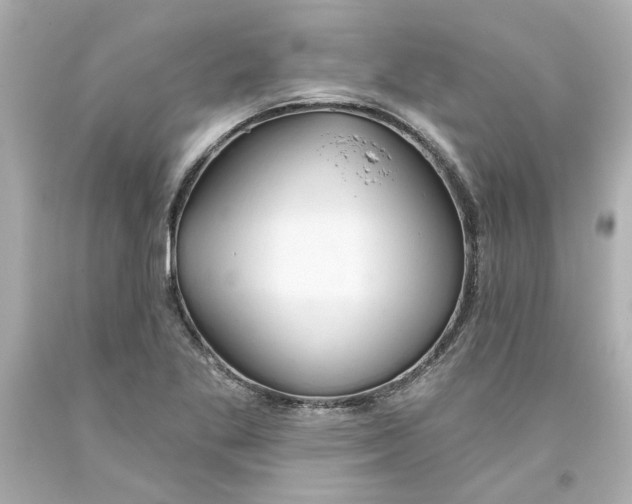 X0000093561269200711051030