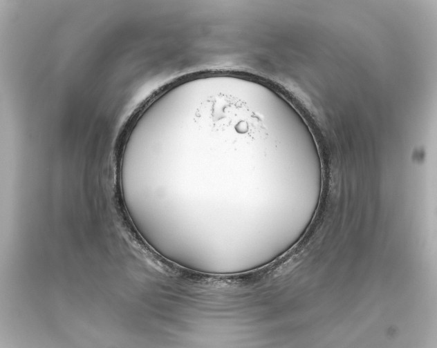 X0000093561270200711051030