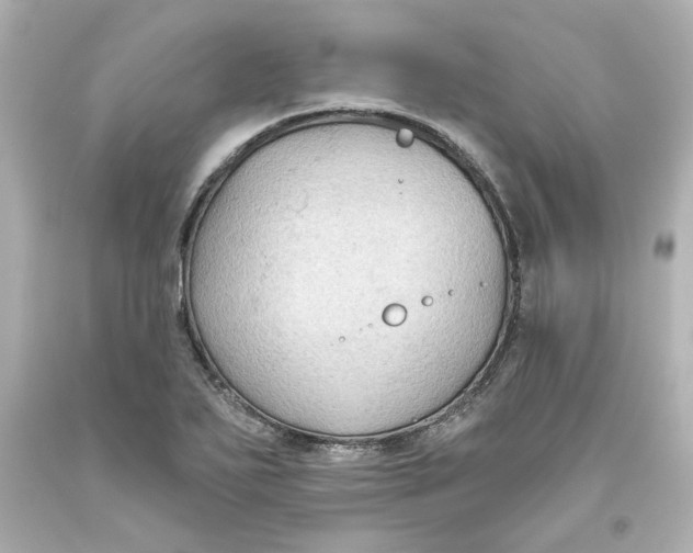 X0000093561271200711051030