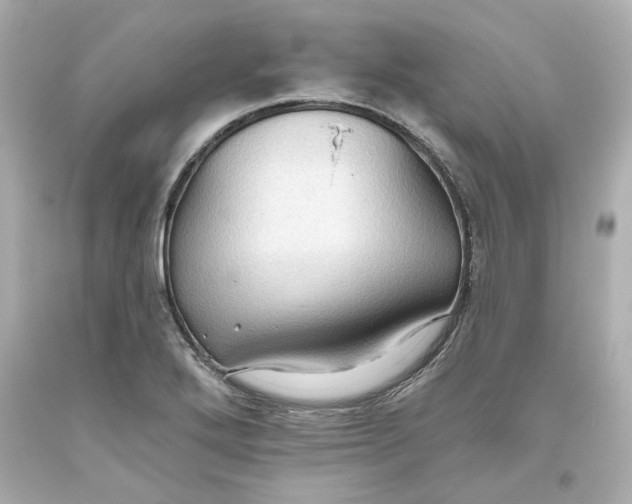 X0000093561272200711051030