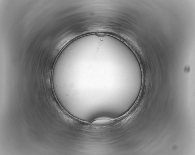 X0000093561273200711051030