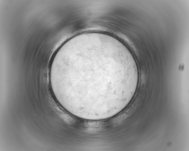 X0000093561274200711051030