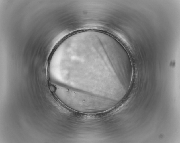 X0000093561275200711051030