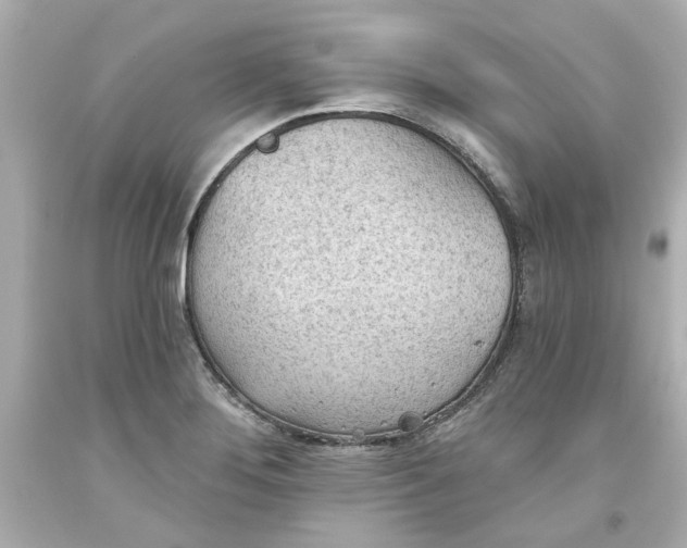 X0000093561276200711051030