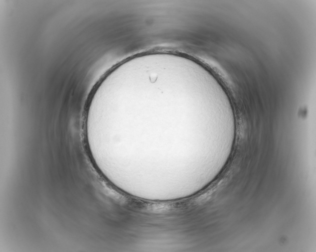 X0000093561278200711051030