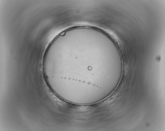 X0000093561279200711051030