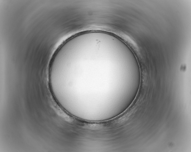 X0000093561280200711051030