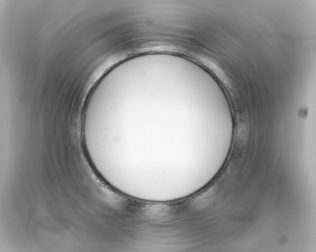 X0000093561282200711051030