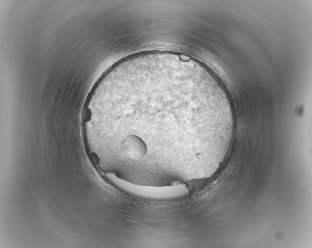 X0000093561283200711051030